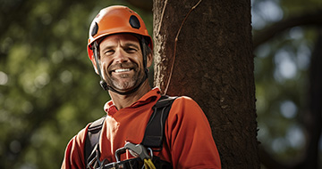Why choose our Tree surgery services in Euston