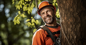 Why Choose Our Tree Surgery Services in Golders Green?