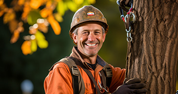 Why choose our Tree surgery services in Mill Hill