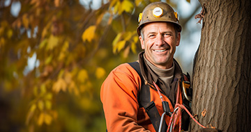Why Choose Our Tree Surgery Services in Neasden?