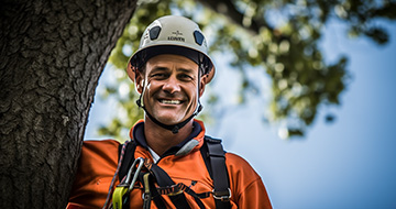 What Sets Our Tree Surgery Services in Hayes Apart from the Rest?