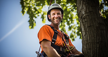 What Benefits Can Our Tree Surgery Services in Orpington Offer?