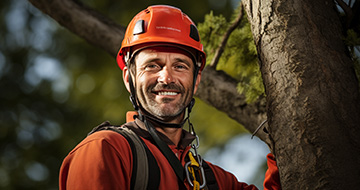 Why choose our Tree surgery services in the Pacific Northwest?