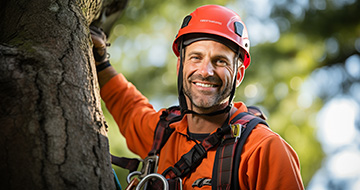 What Makes Our Tree Surgery Services in Shirley Stand Out?
