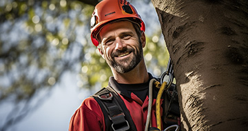 Why Choose Our Tree Surgery Services in Your Area?
