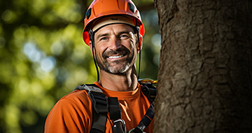 What Makes Our Tree Surgery Services in Bexleyheath the Ideal Choice?