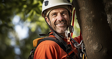 Why choose our Tree surgery services in the Pacific Northwest?