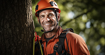 What Sets Our Tree Surgery Services in Crayford Apart from the Rest?
