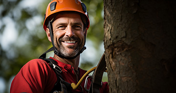 What Are the Benefits of Tree Surgery Services in Welling?