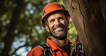 What Makes Our Tree Surgery Services in Barnet Outstanding?