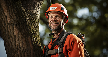 What sets our Tree Surgery Services in Cockfosters Apart?