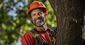 Why Choose Our Tree Surgery Services in the Greater Los Angeles Area?