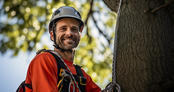 Why Our Tree Surgery Services Stand Out in Ruislip