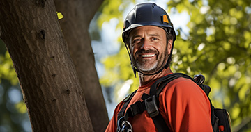What Are the Benefits of Our Tree Surgery Services in Sudbury?