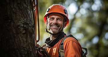 Why choose our Tree surgery services in the Sudbury?