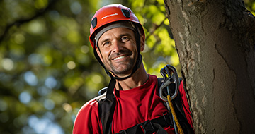 What Makes Our Tree Surgery Services in Kingston Outstanding?