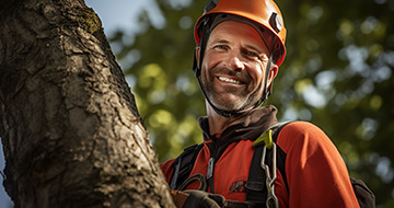 What Makes Our Tree Surgery Services in Chadwell Heath Unique?
