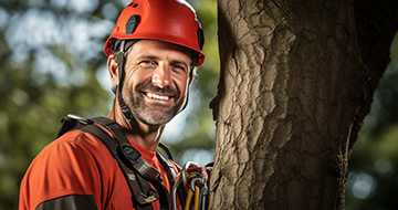 Why choose our Tree surgery services in your local area?