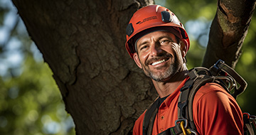 High-Quality Tree Surgery Services in Hampton 