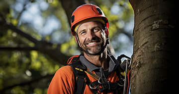 What Sets Our Tree Surgery Services in North Sheen Apart?