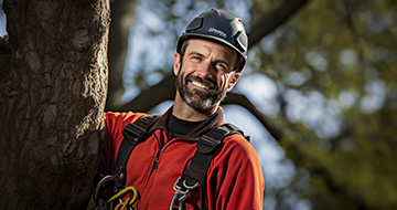 Our Tree Surgery Process in Bristol