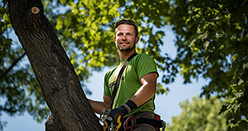 What are the Benefits of Our Tree Surgery Services in Sydenham?