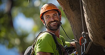 Why Choose Our Tree Surgery Services in Sydenham?