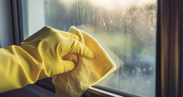 What You Get with Our Window Cleaning Service in Any City