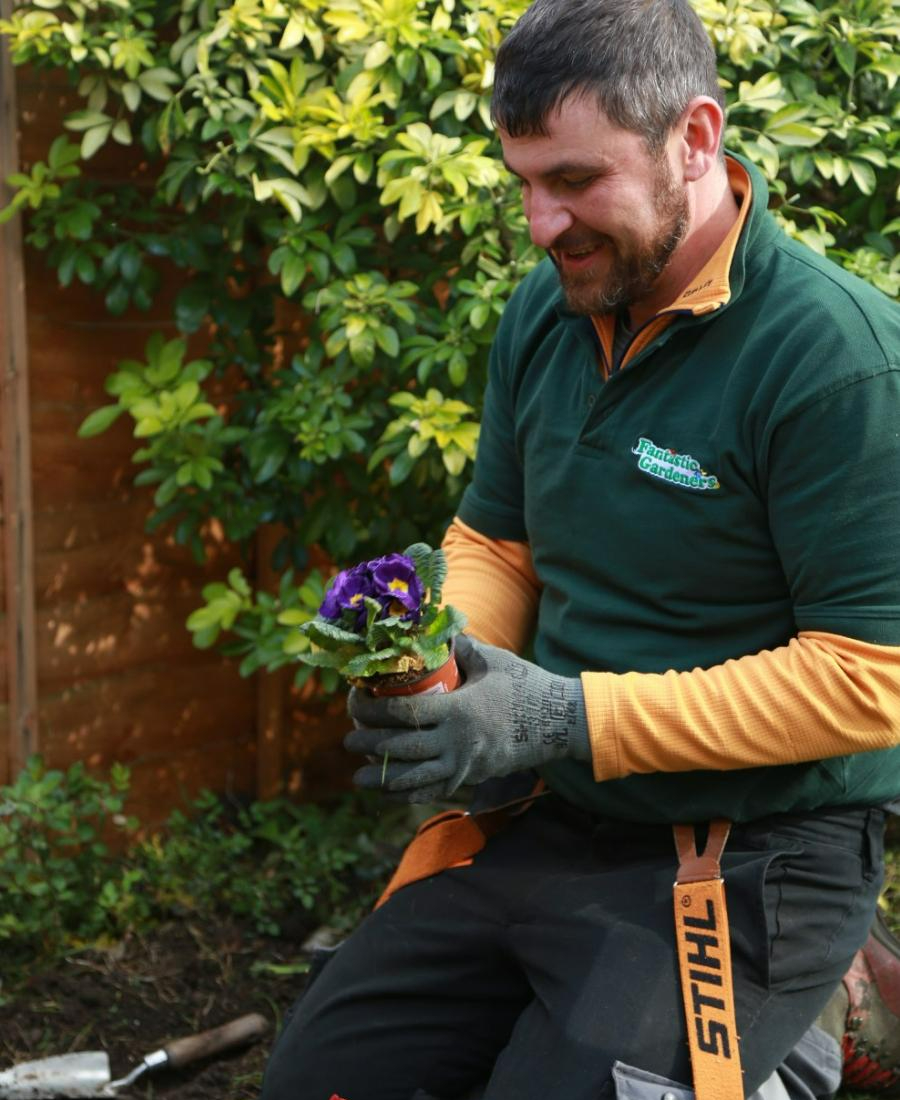 Gardening-services-london Professional gardener planting colorful flowers in a residential garden during a gardening service visit