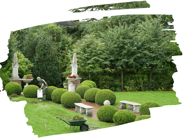 Gardening Primrose Hill