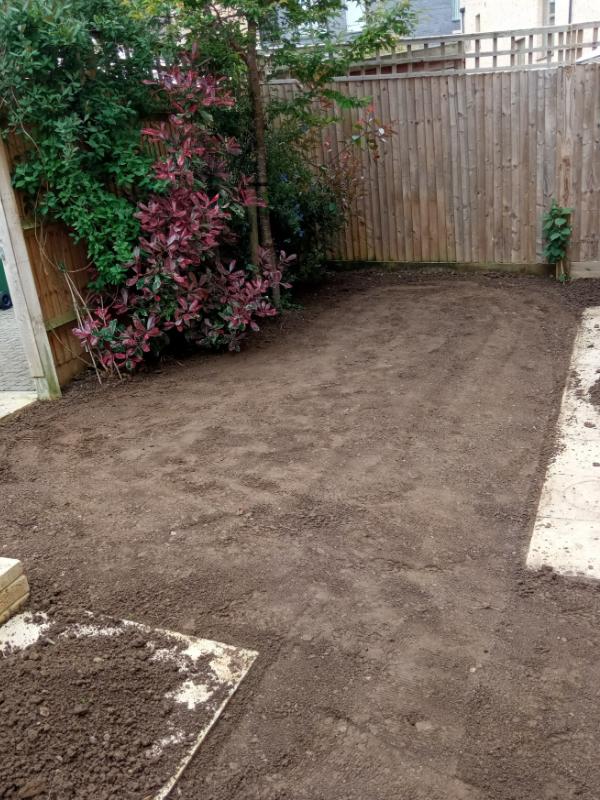 Sloped, unused garden space.