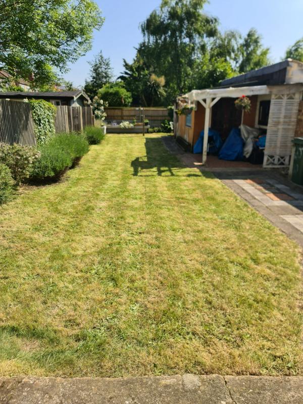 Modern garden with neatly trimmed lawn