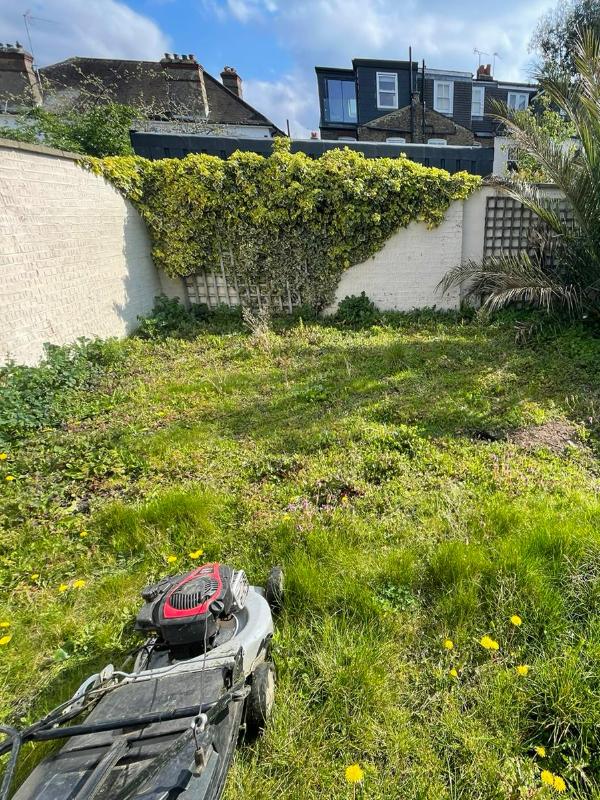 Overgrown, uneven garden with patchy grass