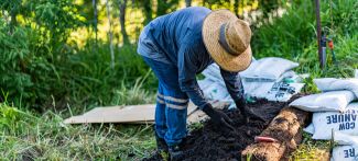 No-dig gardening method showing compost layers and mulch-covered beds