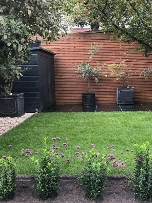 Newly turfed garden with paved walkways and soft borders