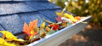 Clogged guuter full of leaves