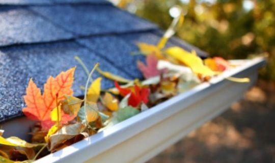 a part of a roof and a gutter filled with leaves and debris