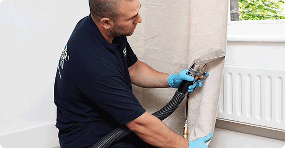 Fantastic pro cleaning a curtain.