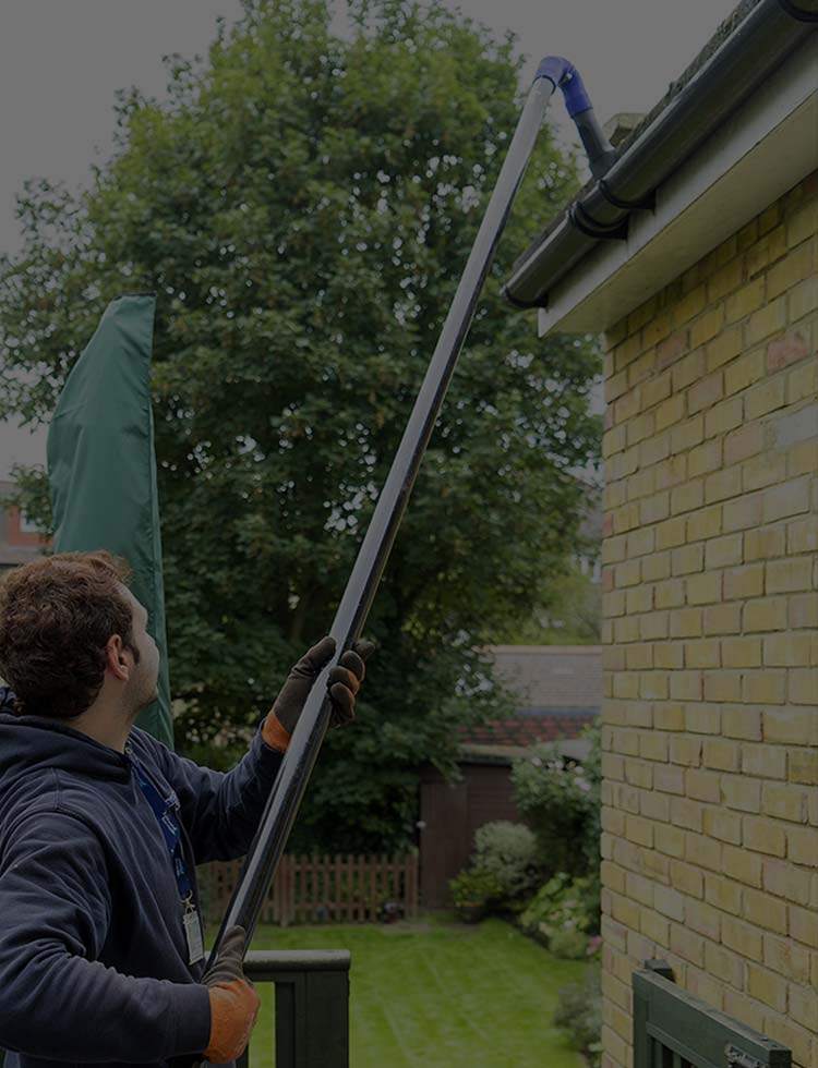 Gutter Cleaning Services