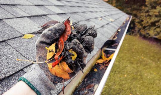 a person's hand with a protective glove wearing dirt and leaves next to a house roof and a gutter filled with mud and debris