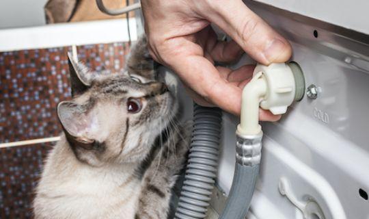 A washing machine waste pipe being handled by a human with a curious cat next to the man's hand