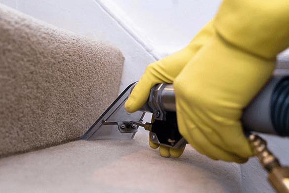 Cleaning a rug with steam