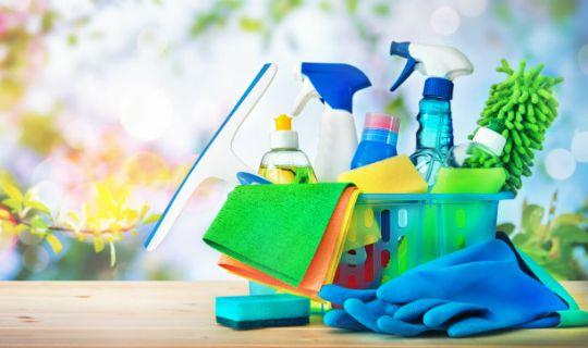 cleaning tools and detergents on a wooden table with beautiful vegetation in the background