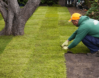 turfing services