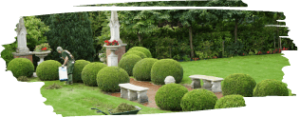 Bristol landscapers
