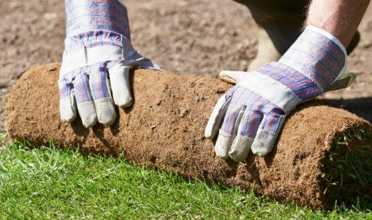 a man laying turf