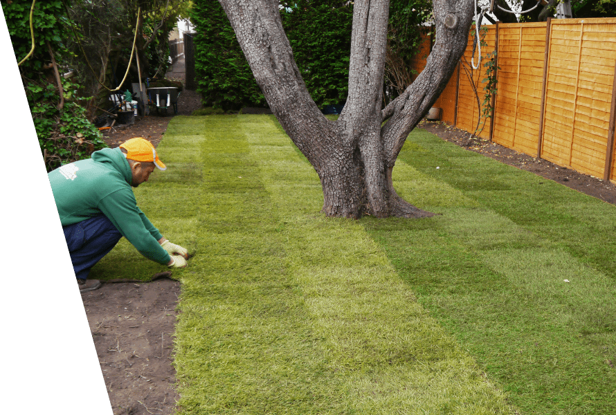 Picture of a professional gardener during turf laying service