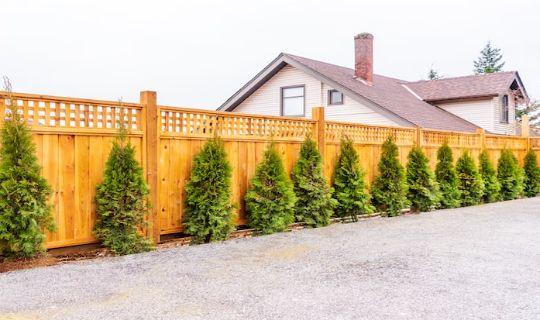 a wooden fence with lots of decorative dwarf evergreen trees next to it