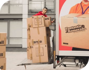 International removals