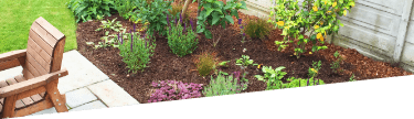 Professional garden planting services